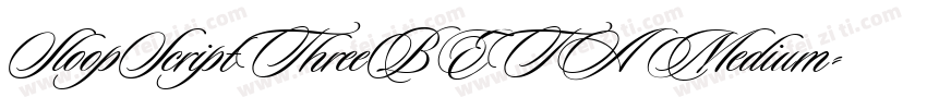 SloopScriptThreeBETA Medium字体转换